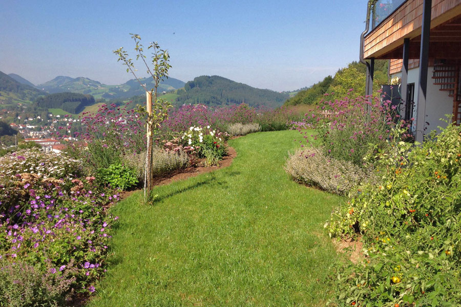 Forster-Waidhofen-(1)