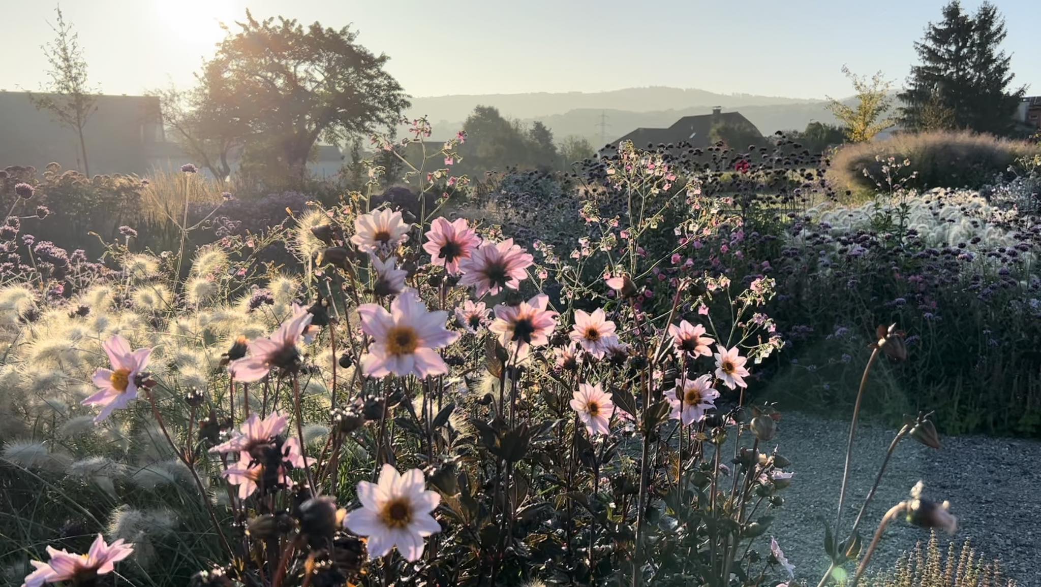 Gartenbild Oktober