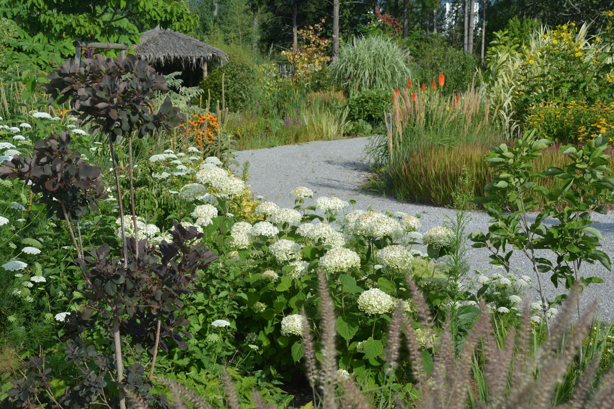Fotospaziergang im Garten der Vielfalt am 22. August 2026 – Bild 10
